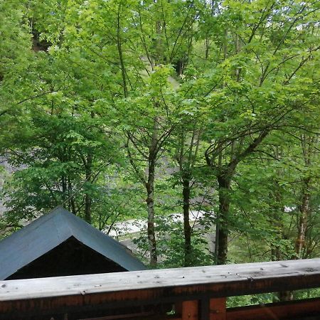 Chalet Au Pont De Flon Le Cornix Exteriör bild